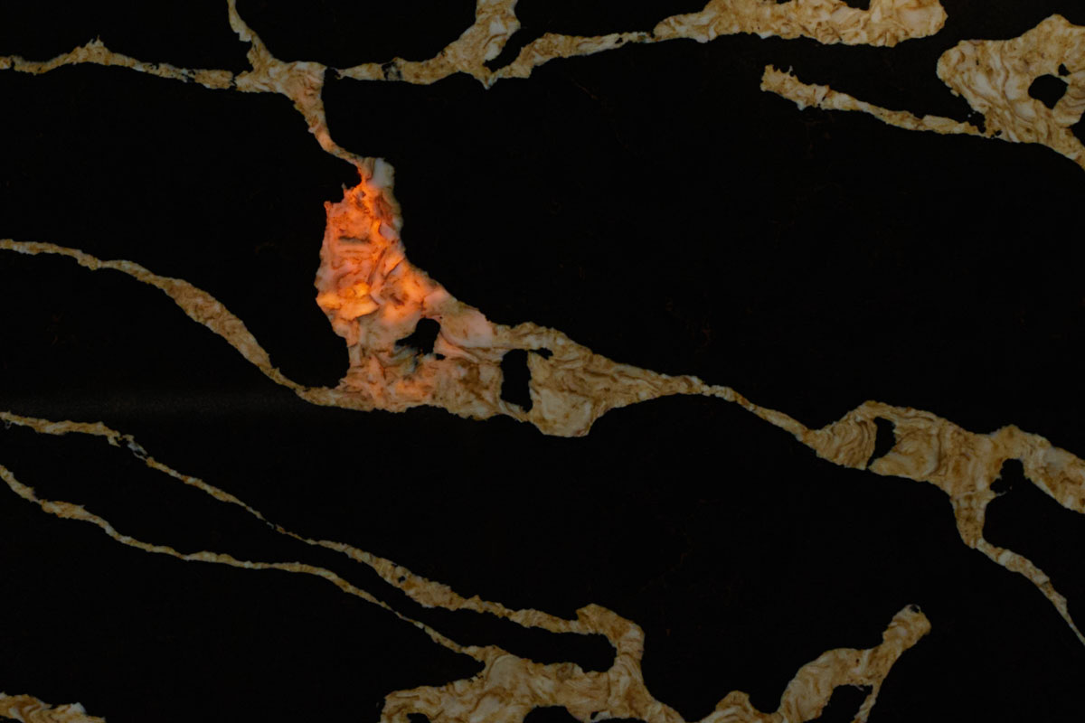 786, Calacatta Back Gold, 20мм, 3200x1600